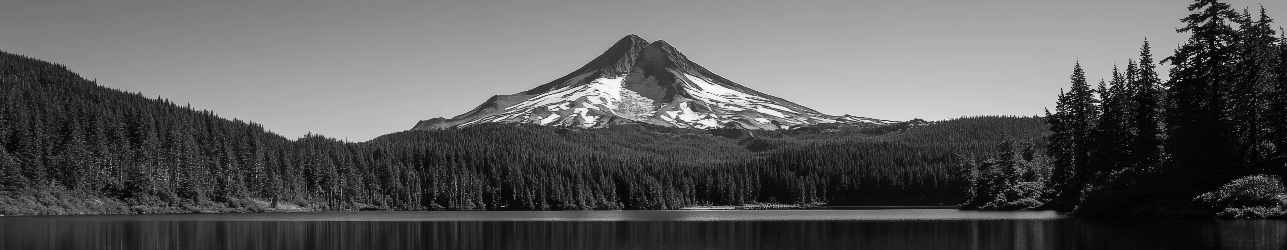 rv park and travel image